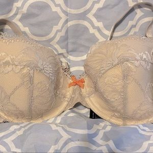 NWT 32DD Heidi Klum Sabine bra.